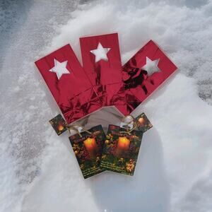 Religious Christmas Gift Bag & Luminary Bag (Paper Bag Lantern)